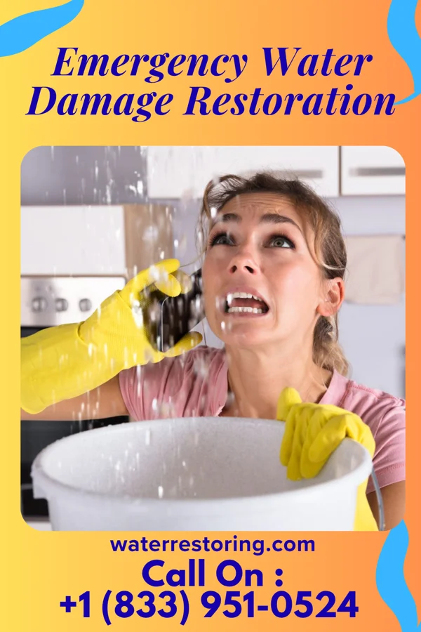 Emergency Water Damage Restoration in Colfax, IN