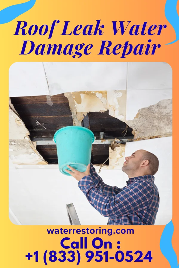 Roof Leak Water Damage Repair in Colfax, IN